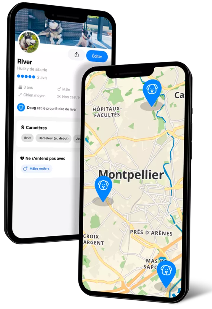 App screen
